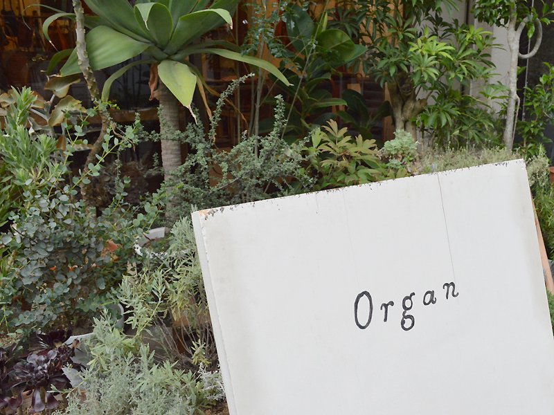 Organの森