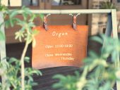 Organ × HERZ大阪店 特別企画のお知らせ